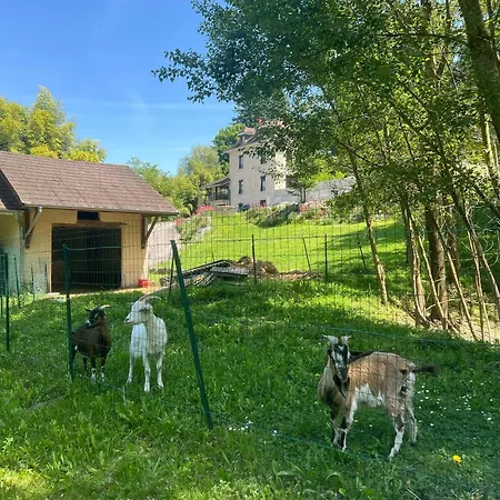 Le Creux De Murmures, Lyon *